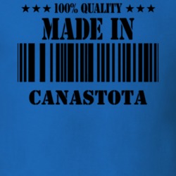 Canastota Madison County New York State Made In Born T Shirt 5371829