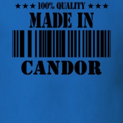 Candor Tioga County New York State Made In Born T Shirt 5371836