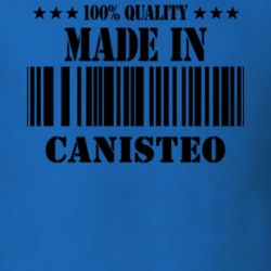 Canisteo Steuben County New York State Made In Born T Shirt 5371846