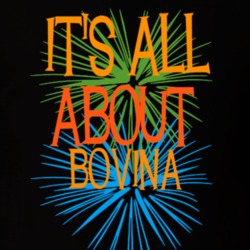 Bovina Delaware County New York State Its All About T Shirt 5371871