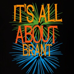 Brant Erie County New York State Its All About T Shirt 5371891