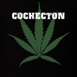 Cochecton Sullivan County New York State Weed Marijuana T Shirt 5371896