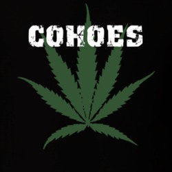 Cohoes Albany County New York State Weed Marijuana T Shirt 5371909