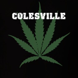 Colesville Broome County New York State Weed Marijuana T Shirt 5371924