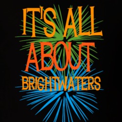 Brightwaters Suffolk County New York State Its All About T Shirt 5371927
