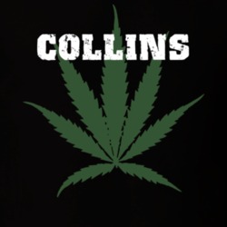 Collins Erie County New York State Weed Marijuana T Shirt 5371929