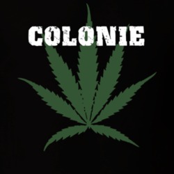 Colonie Albany County New York State Weed Marijuana T Shirt 5371935