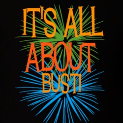 Busti Chautauqua County New York State Its All About T Shirt 5372037