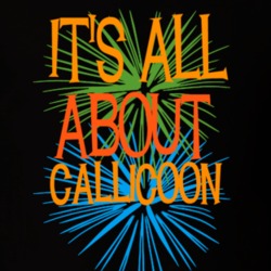 Callicoon Sullivan County New York State Its All About T Shirt 5372072