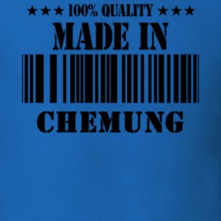 Chemung Chemung County New York State Made In Born T Shirt 5372081