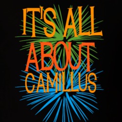 Camillus Onondaga County New York State Its All About T Shirt 5372099