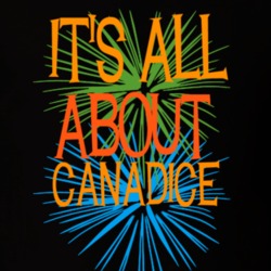 Canadice Ontario County New York State Its All About T Shirt 5372115
