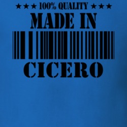 Cicero Onondaga County New York State Made In Born T Shirt 5372128