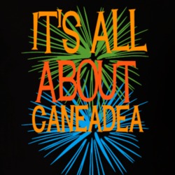 Caneadea Allegany County New York State Its All About T Shirt 5372148