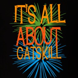 Catskill Greene County New York State Its All About T Shirt 5372259