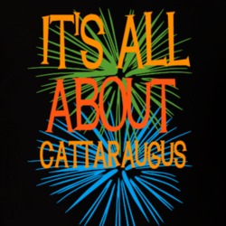 Cattaraugus Cattaraugus County New York State Its All About T Shirt 5372266