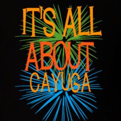 Cayuga Cayuga County New York State Its All About T Shirt 5372271
