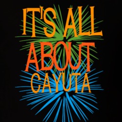 Cayuta Schuyler County New York State Its All About T Shirt 5372276