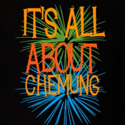 Chemung Chemung County New York State Its All About T Shirt 5372369