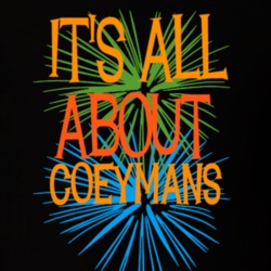 Coeymans Albany County New York State Its All About T Shirt 5372592