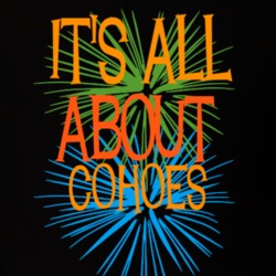 Cohoes Albany County New York State Its All About T Shirt 5372607