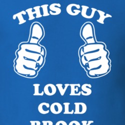 Cold Brook Herkimer County New York State This Guy Loves T Shirt 5383553
