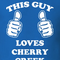 Cherry Creek Chautauqua County New York State This Guy Loves T Shirt 5383751