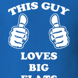 Big Flats Chemung County New York State This Guy Loves T Shirt 5384095