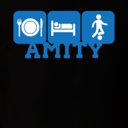 Amity Allegany County New York State Eat Sleep Soccer T Shirt 5384198