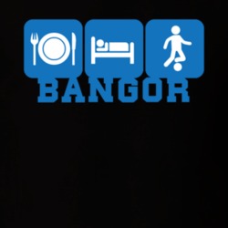 Bangor Franklin County New York State Eat Sleep Soccer T Shirt 5384569