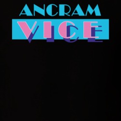 Ancram Columbia County New York State Miami Vice Police Parody T Shirt 5384707