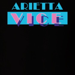 Arietta Hamilton County New York State Miami Vice Police Parody T Shirt 5384808
