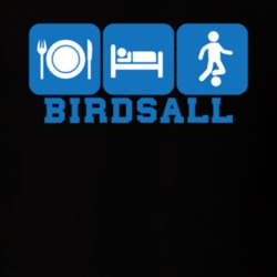 Birdsall Allegany County New York State Eat Sleep Soccer T Shirt 5384880