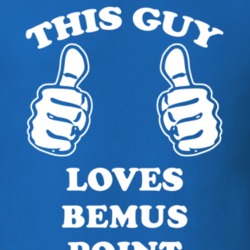 Bemus Point Chautauqua County New York State This Guy Loves T Shirt 5385325