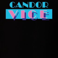 Candor Tioga County New York State Miami Vice Police Parody T Shirt 5385979