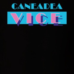 Caneadea Allegany County New York State Miami Vice Police Parody T Shirt 5385987