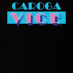 Caroga Fulton County New York State Miami Vice Police Parody T Shirt 5386062