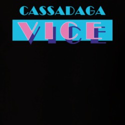 Cassadaga Chautauqua County New York State Miami Vice Police Parody T Shirt 5386110