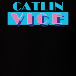 Catlin Chemung County New York State Miami Vice Police Parody T Shirt 5386154