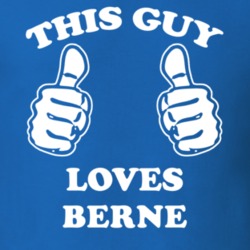 Berne Albany County New York State This Guy Loves T Shirt 5387080