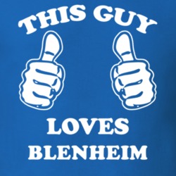 Blenheim Schoharie County New York State This Guy Loves T Shirt 5387163