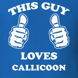 Callicoon Sullivan County New York State This Guy Loves T Shirt 5387658