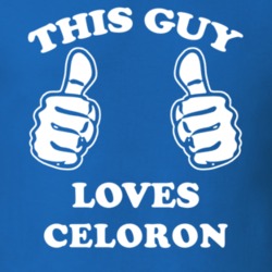 Celoron Chautauqua County New York State This Guy Loves T Shirt 5388087