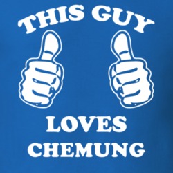 Chemung Chemung County New York State This Guy Loves T Shirt 5388222