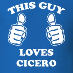 Cicero Onondaga County New York State This Guy Loves T Shirt 5388311