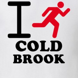 Cold Brook Herkimer County New York State I Love Heart I Run T Shirt 5406399