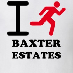 Baxter Estates Nassau County New York State I Love Heart I Run T Shirt 5406520