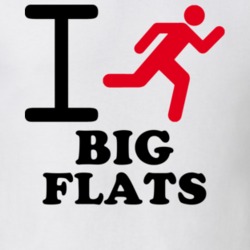 Big Flats Chemung County New York State I Love Heart I Run T Shirt 5406612