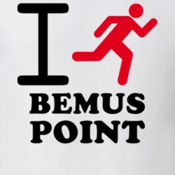 Bemus Point Chautauqua County New York State I Love Heart I Run T Shirt 5407136