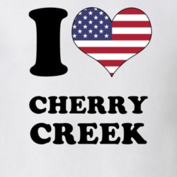 Cherry Creek Chautauqua County New York State I Love Heart USA T Shirt 5407201